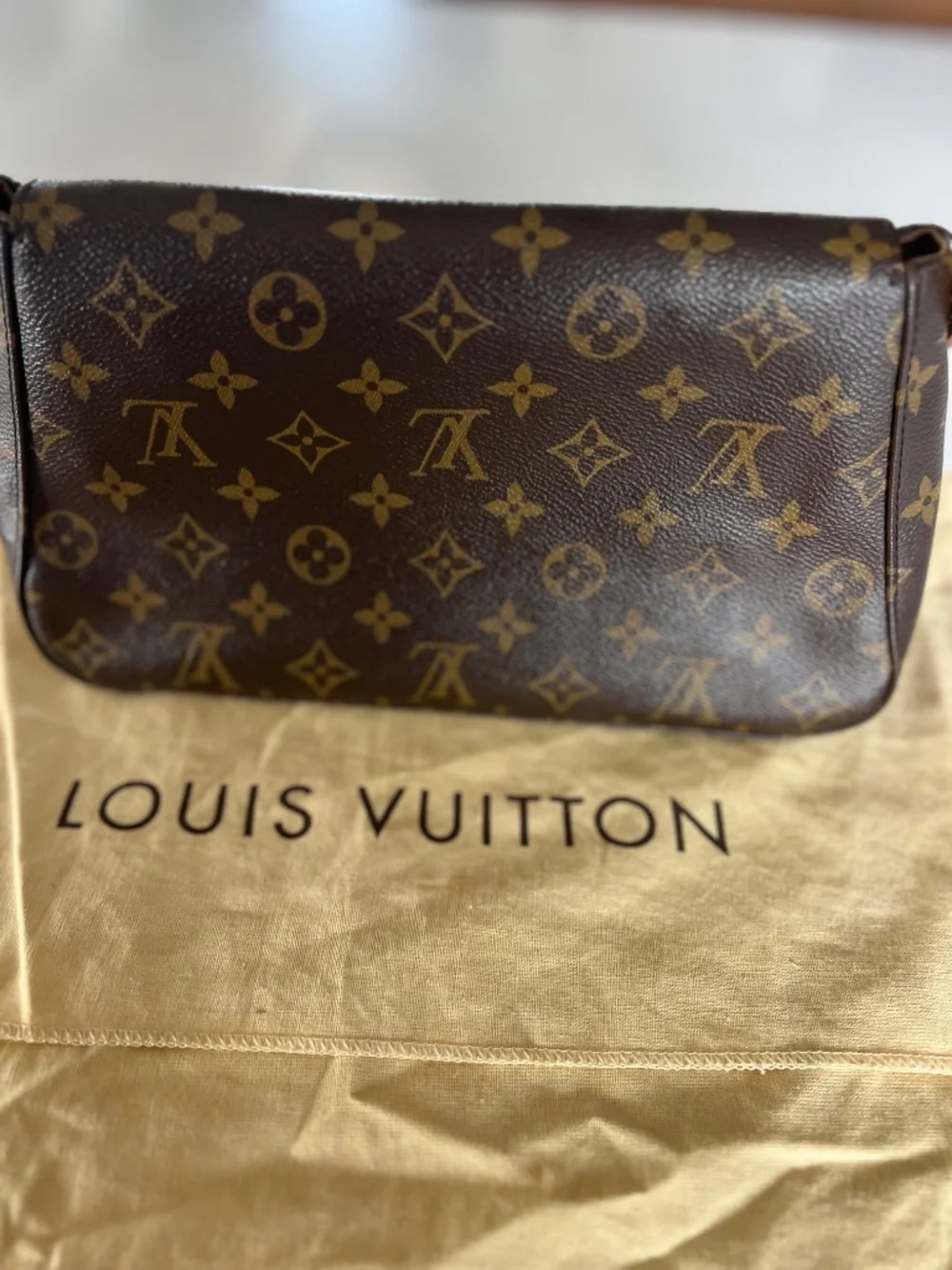 Louis Vuitton excellent louis
